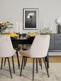 Esstisch-Set Fenwood Mit Stühlen Sierra, 5-tlg. 20 Esstisch-Set Fenwood Mit Stühlen Sierra, 5-tlg. – Bild 18