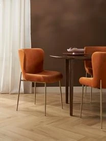 Samt-Polsterstuhl Tess Von Chris Glass 4 Samt-Polsterstuhl Tess Von Chris Glass – Bild 2